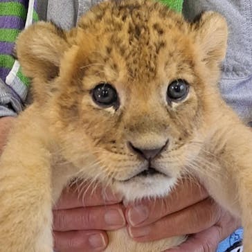 しろとり動物園に投稿された画像（2023/6/19）