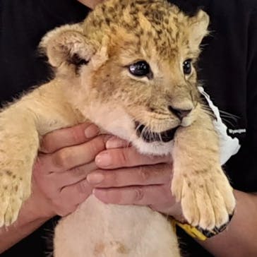 しろとり動物園に投稿された画像（2023/6/19）
