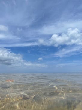 西表島 ADVENTURE PiPi（アドベンチャーピピ）に投稿された画像（2023/6/22）