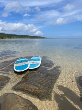 西表島 ADVENTURE PiPi（アドベンチャーピピ）に投稿された画像（2023/6/22）