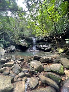 西表島 ADVENTURE PiPi（アドベンチャーピピ）に投稿された画像（2023/6/22）