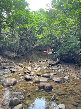 西表島 ADVENTURE PiPi（アドベンチャーピピ）に投稿された画像（2023/6/22）