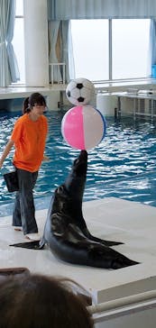 アクアワールド茨城県大洗水族館に投稿された画像（2023/6/22）