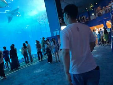 沖縄美ら海水族館に投稿された画像（2023/6/22）