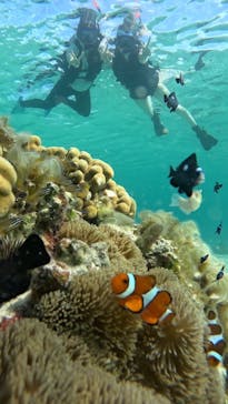 オースリーシュノーケル宮古島に投稿された画像（2023/6/22）