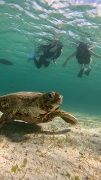 オースリーシュノーケル宮古島に投稿された画像（2023/6/22）