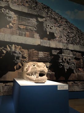 特別展「古代メキシコーマヤ、アステカ、テオティワカン」に投稿された画像（2023/6/22）