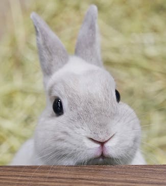 カワスイ 川崎⽔族館に投稿された画像（2023/6/22）