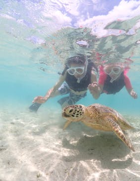 ちゃこたびに投稿された画像（2023/6/22）