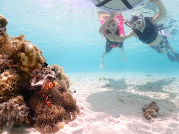 ちゃこたびに投稿された画像（2023/6/22）