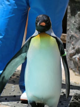 下田海中水族館に投稿された画像（2023/6/22）