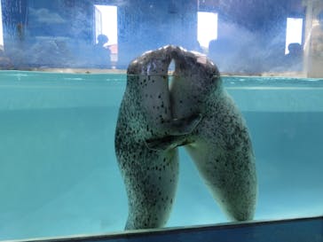下田海中水族館に投稿された画像（2023/6/22）