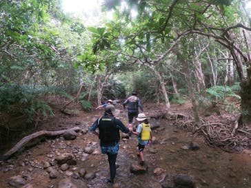 西表島 ADVENTURE PiPi（アドベンチャーピピ）に投稿された画像（2023/6/22）