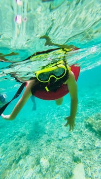 西表島 ADVENTURE PiPi（アドベンチャーピピ）に投稿された画像（2023/6/22）