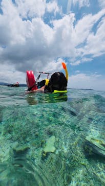 西表島 ADVENTURE PiPi（アドベンチャーピピ）に投稿された画像（2023/6/22）