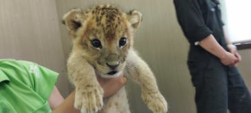 しろとり動物園に投稿された画像（2023/6/22）