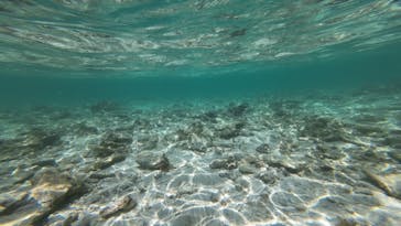 西表島 ADVENTURE PiPi（アドベンチャーピピ）に投稿された画像（2023/6/22）