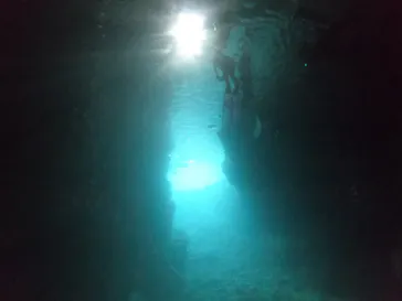 武藤潜水に投稿された画像（2023/6/23）