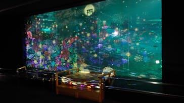 南知多ビーチランド＆南知多おもちゃ王国に投稿された画像（2023/6/23）