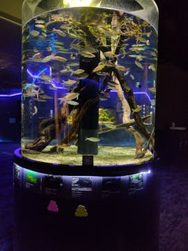 カワスイ 川崎⽔族館に投稿された画像（2023/6/23）