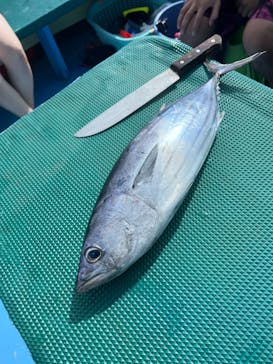 ズミヤーに投稿された画像（2023/6/23）