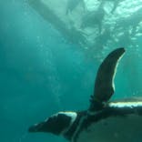 上越市立水族博物館 うみがたりに投稿された画像（2023/6/23）