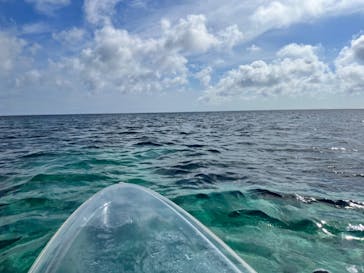 宮古島マリン SUGAR3（シュガースリー）に投稿された画像（2023/6/23）