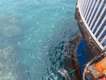 串本海中公園水族館に投稿された画像（2023/6/23）