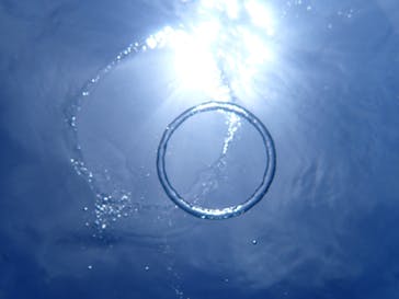 marine assist DEMI（マリンアシストデミ）に投稿された画像（2023/6/23）