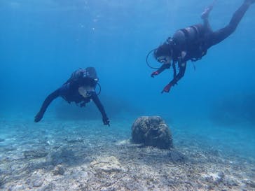 marine assist DEMI（マリンアシストデミ）に投稿された画像（2023/6/23）