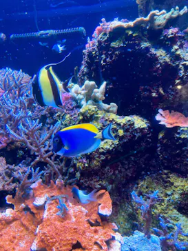 マクセル アクアパーク品川に投稿された画像（2023/6/23）