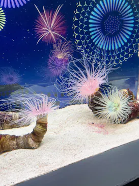 マクセル アクアパーク品川に投稿された画像（2023/6/23）