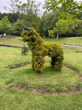 ノーザンホースパークに投稿された画像（2023/6/23）