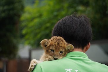 しろとり動物園に投稿された画像（2023/6/23）
