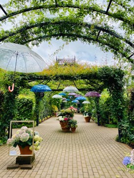 横浜イングリッシュガーデンに投稿された画像（2023/6/24）