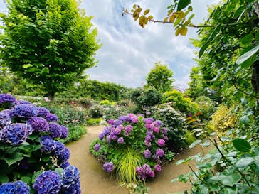 横浜イングリッシュガーデンに投稿された画像（2023/6/24）