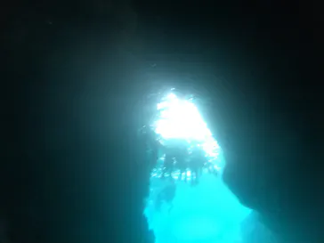 武藤潜水に投稿された画像（2023/6/24）