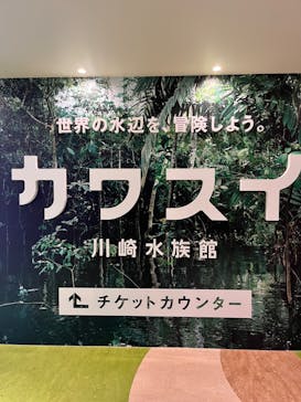 カワスイ 川崎⽔族館に投稿された画像（2023/6/24）