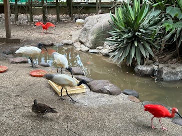 東武動物公園に投稿された画像（2023/6/24）