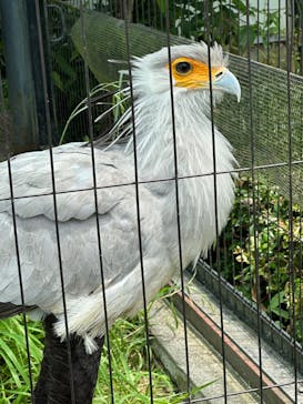 東武動物公園に投稿された画像（2023/6/24）