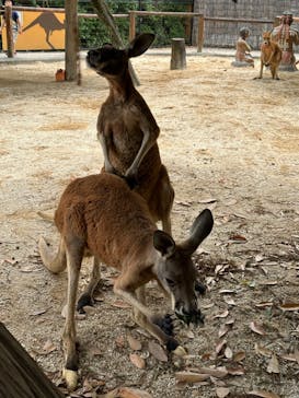東武動物公園に投稿された画像（2023/6/24）