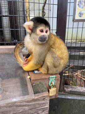 伊豆シャボテン動物公園に投稿された画像（2023/6/24）