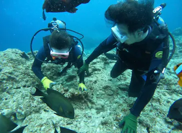 武藤潜水に投稿された画像（2023/6/24）