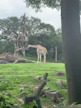 天王寺動物園に投稿された画像（2023/6/24）