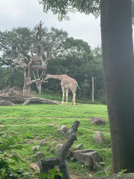 天王寺動物園に投稿された画像（2023/6/24）