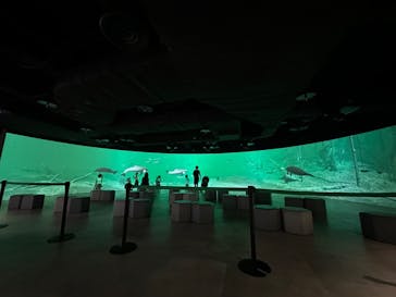 カワスイ 川崎⽔族館に投稿された画像（2023/6/24）