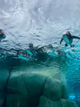 天王寺動物園に投稿された画像（2023/6/24）
