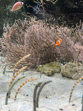 マクセル アクアパーク品川に投稿された画像（2023/6/24）