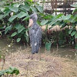 神戸どうぶつ王国に投稿された画像（2023/6/24）