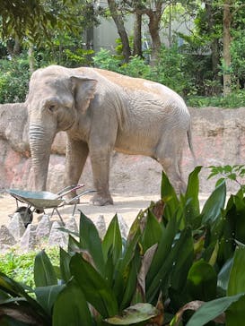 到津の森公園に投稿された画像（2023/6/24）